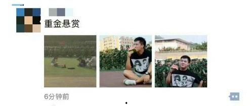 娱乐吃瓜资料来源于哪里,揭秘娱乐圈吃瓜资料的来源与传播